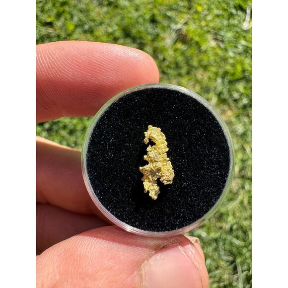 California Gold Crystal - 0.53 grams - Picture 5 of 6
